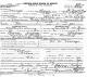 Birth Certificate for Lawrence Kelly Irving