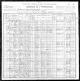 1900 United States Census - Holcomb Island, Dunklin County, Missouri - 7 Jun 1900