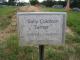 Grave Marker of Sally Ellen Townsend Coldiron