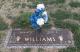 Headstone of Michael Roy Williams