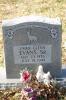 Headstone of Jimmy Glenn Evans, Sr.