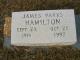 Headstone of James Parks Hamilton